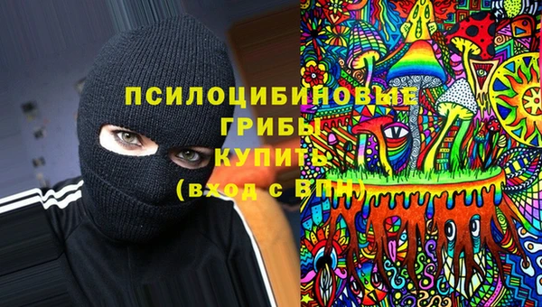 ECSTASY Богородицк