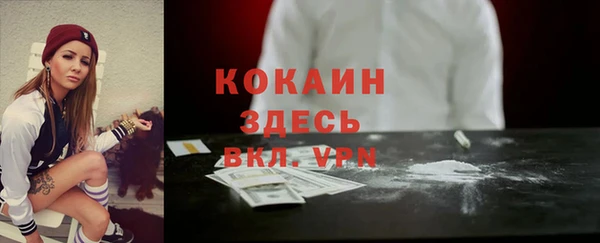 тгк Богданович