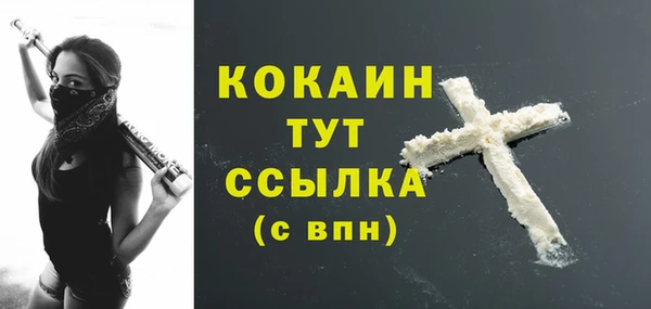 тгк Богданович
