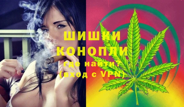ECSTASY Богородицк