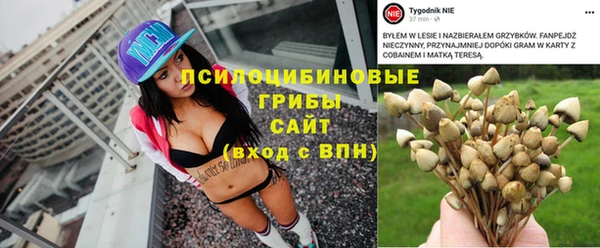 ECSTASY Богородицк