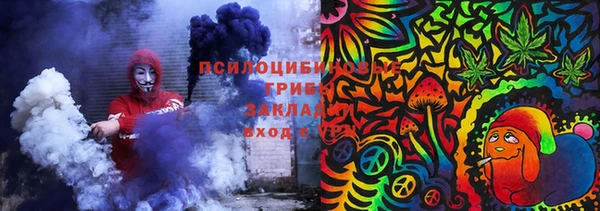 ECSTASY Богородицк