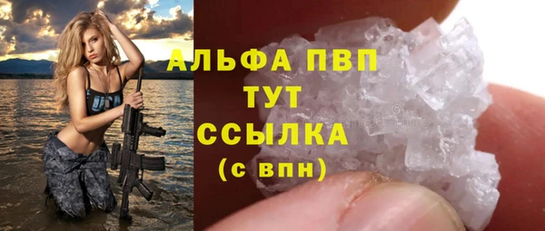 ECSTASY Богородицк