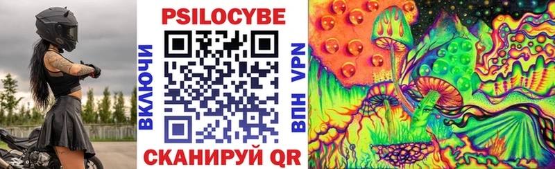 Купить закладки  Михайловка  Галлюциногенные грибы Cubensis 